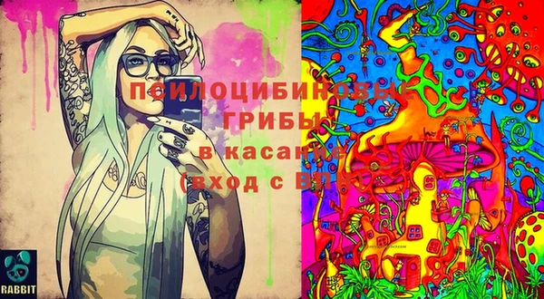 хмурый Горняк