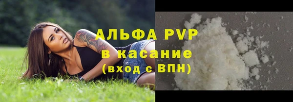 хмурый Горняк