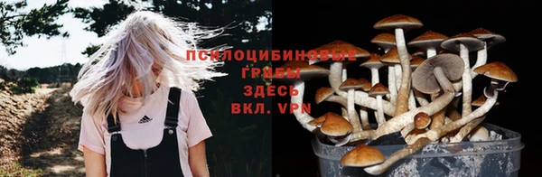 хмурый Горняк